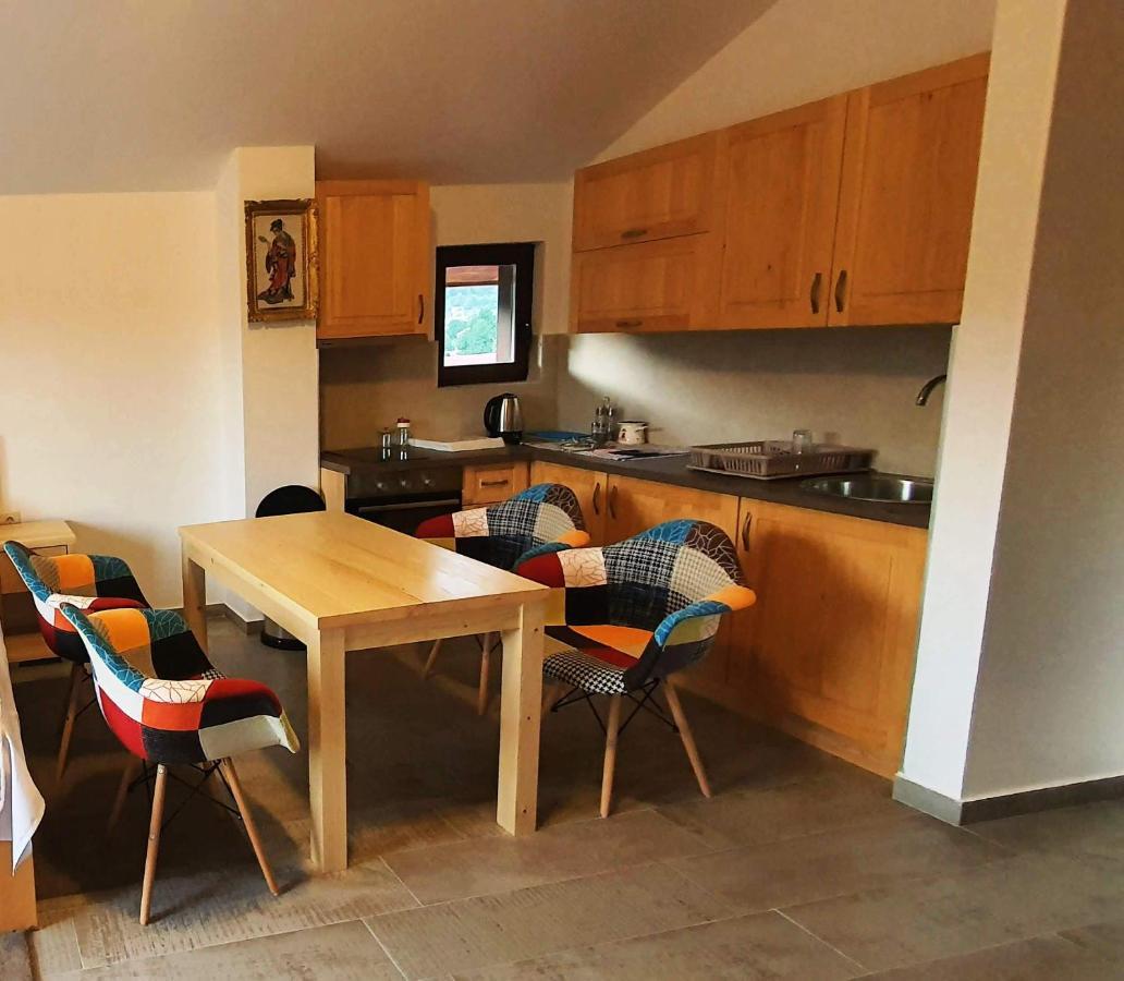 Apartmani Aleksandra Kolašin Extérieur photo